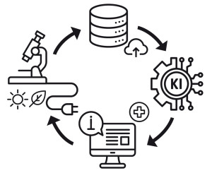 Das Bild zeigt eine schematische Darstellung der Datenverarbeitung in der Mikroskopie.