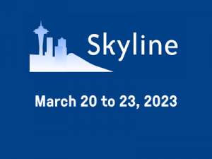 Skyline Logo.