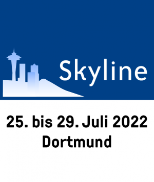 Logo Software Skyline.